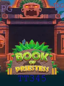 Explorando o Universo de BookOfPriestess: Um Mergulho no Mundo de TT345